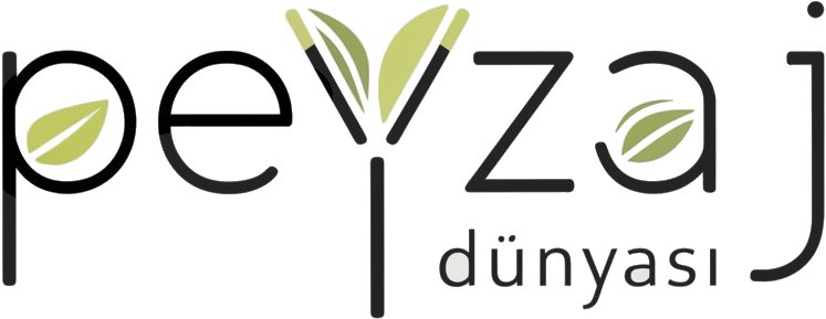 Peyzaj Dünyası